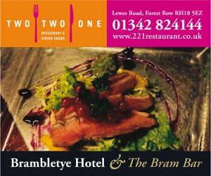 Bram web ad (2)